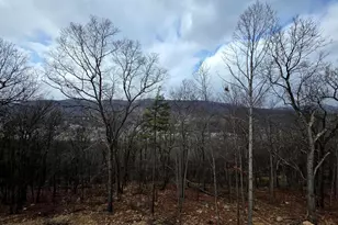 Skyview Dr W, Lavale, MD 21502 - Photo 43