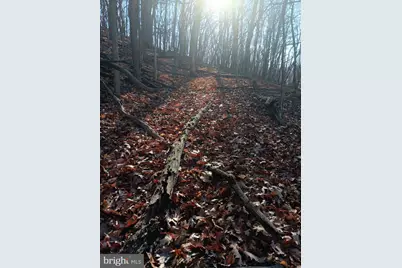 Gray Avenue, Cumberland, MD 21502 - Photo 1