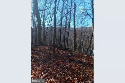 Gray Avenue, Cumberland, MD 21502 - Photo 9