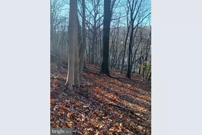 Gray Avenue, Cumberland, MD 21502 - Photo 11