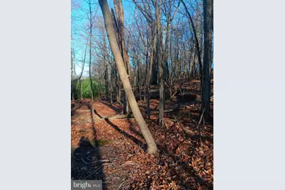 Gray Avenue, Cumberland, MD 21502 - Photo 7