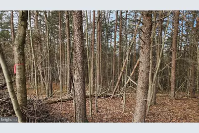 11901 Price Road NE, Little Orleans, MD 21766 - Photo 3