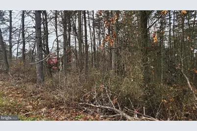 11901 Price Road NE, Little Orleans, MD 21766 - Photo 5