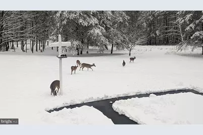 887 Weires Avenue, Lavale, MD 21502 - Photo 79