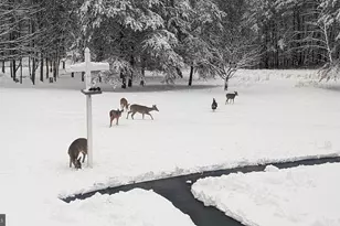 887 Weires Ave, Lavale, MD 21502 - Photo 79