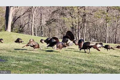 887 Weires Avenue, Lavale, MD 21502 - Photo 89