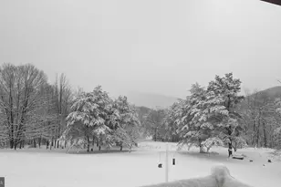 887 Weires Ave, Lavale, MD 21502 - Photo 67