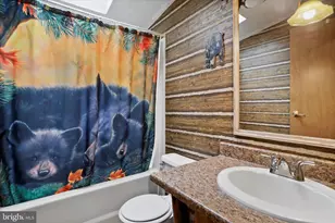 14214 Black Walnut Ln, Ellerslie, MD 21529 - Photo 19