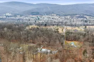 14214 Black Walnut Ln, Ellerslie, MD 21529 - Photo 43