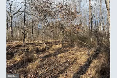 Tract 1: .70+/- Acres Fir Tree Lane, Cresaptown, MD 21502 - Photo 9