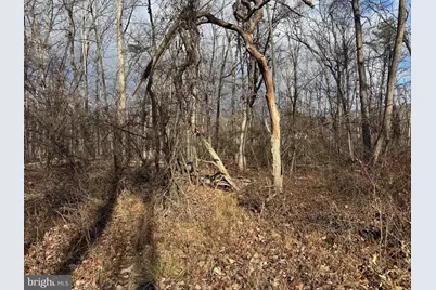 Tract 2: 1.54+/- Acres Ethridge Street, Cresaptown, MD 21502 - Photo 7