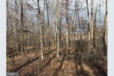 Tract 3: .83+/- Acres Ethridge Street, Cresaptown, MD 21502 - Photo 9