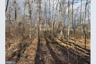 Tract 3: .83+/- Acres Ethridge Street, Cresaptown, MD 21502 - Photo 7