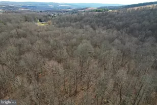 10915 Rachael Ave, Frostburg, MD 21532 - Photo 61