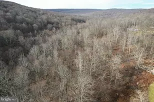 10915 Rachael Ave, Frostburg, MD 21532 - Photo 65