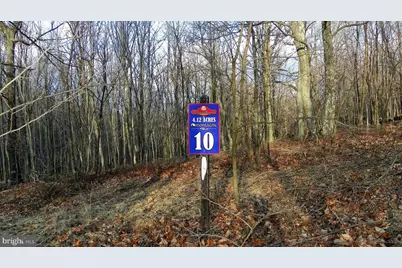 16326 Laurelhurst Boulevard, Cresaptown, MD 21502 - Photo 3