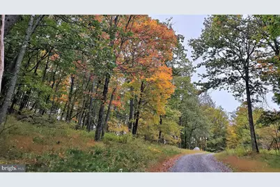 16326 Laurelhurst Boulevard, Cresaptown, MD 21502 - Photo 13