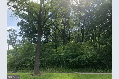 McKenzie Road, Lavale, MD 21502 - Photo 3