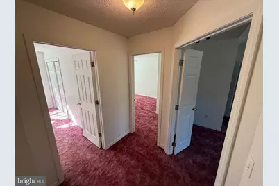 19322 Old Dans Rock Road, Midland, MD 21542 - Photo 41