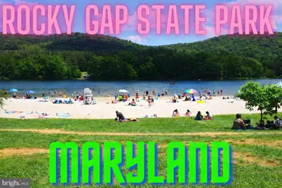 315 Footer Place, Cumberland, MD 21502 - Photo 15