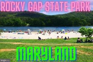 315 Footer Pl, Cumberland, MD 21502 - Photo 15