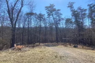 31207 Gold Plains Dr SE, Little Orleans, MD 21766 - Photo 41