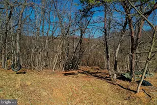 31207 Gold Plains Dr SE, Little Orleans, MD 21766 - Photo 39