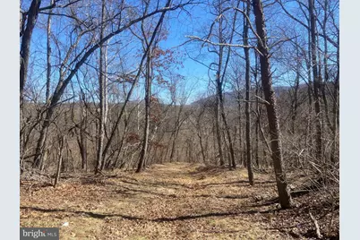 31207 Gold Plains Drive SE, Little Orleans, MD 21766 - Photo 37