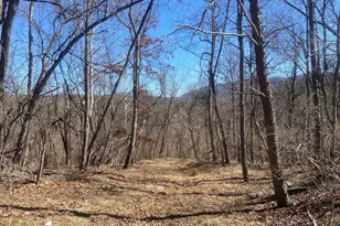 31207 Gold Plains Dr SE, Little Orleans, MD 21766 - Photo 37