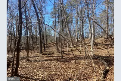 31207 Gold Plains Drive SE, Little Orleans, MD 21766 - Photo 57