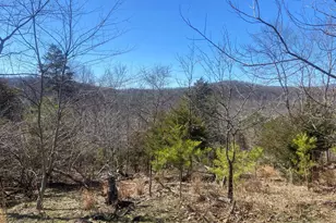 31207 Gold Plains Dr SE, Little Orleans, MD 21766 - Photo 43