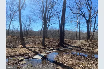 31207 Gold Plains Drive SE, Little Orleans, MD 21766 - Photo 83