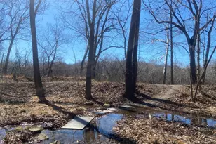 31207 Gold Plains Dr SE, Little Orleans, MD 21766 - Photo 83