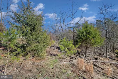 31207 Gold Plains Drive SE, Little Orleans, MD 21766 - Photo 35