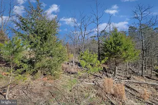 31207 Gold Plains Dr SE, Little Orleans, MD 21766 - Photo 35