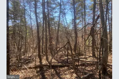 31207 Gold Plains Drive SE, Little Orleans, MD 21766 - Photo 61