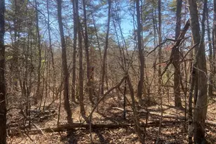 31207 Gold Plains Dr SE, Little Orleans, MD 21766 - Photo 61