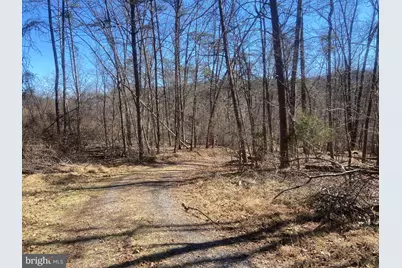 31207 Gold Plains Drive SE, Little Orleans, MD 21766 - Photo 55