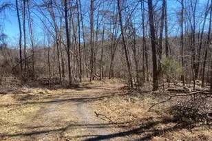 31207 Gold Plains Dr SE, Little Orleans, MD 21766 - Photo 55