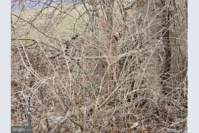 20117 McMullen Highway SW, Rawlings, MD 21557 - Photo 29