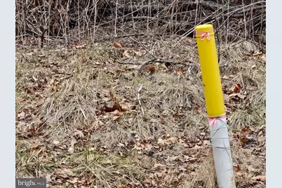 20117 McMullen Highway SW, Rawlings, MD 21557 - Photo 31