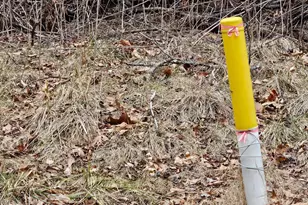 20117 McMullen Hwy SW, Rawlings, MD 21557 - Photo 31