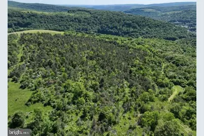 Pine Hill Road, Lonaconing, MD 21539 - Photo 15