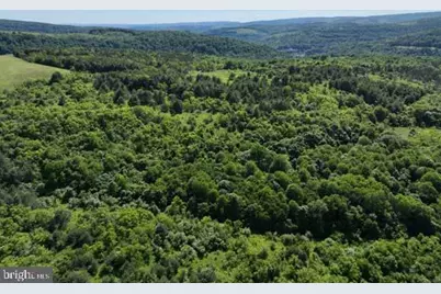 Pine Hill Road, Lonaconing, MD 21539 - Photo 43