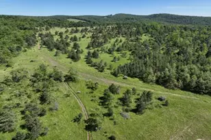 Pine Hill Rd, Lonaconing, MD 21539 - Photo 1