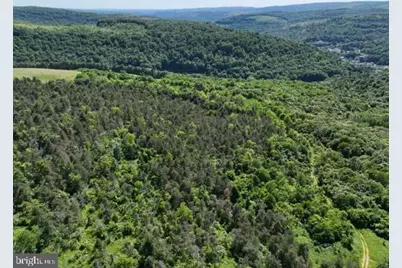 Pine Hill Road, Lonaconing, MD 21539 - Photo 17