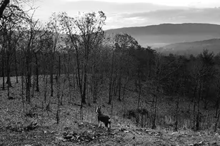 19200 Bowen Ln SE, Oldtown, MD 21555 - Photo 51