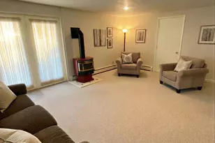 17207 Old National Pike, Eckhart Mines, MD 21528 - Photo 29