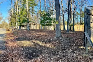 31307 Oldtown Rd, Little Orleans, MD 21766 - Photo 31