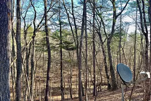 31307 Oldtown Rd, Little Orleans, MD 21766 - Photo 49